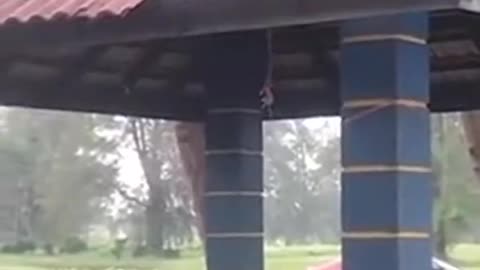 Monkey Destroying a Gazebo!