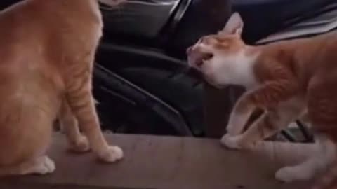 Don’t touch that