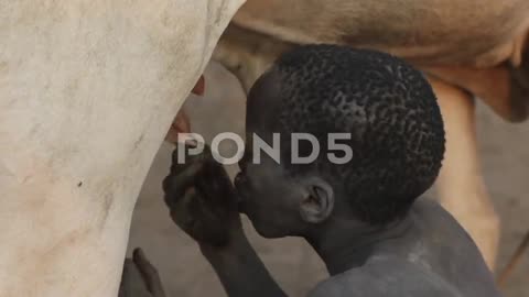 boy drinks milk 2