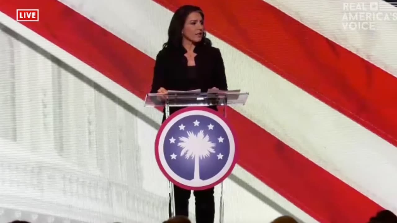 Tulsi Gabbard calls Hillary Clinton "the queen of warmongers"