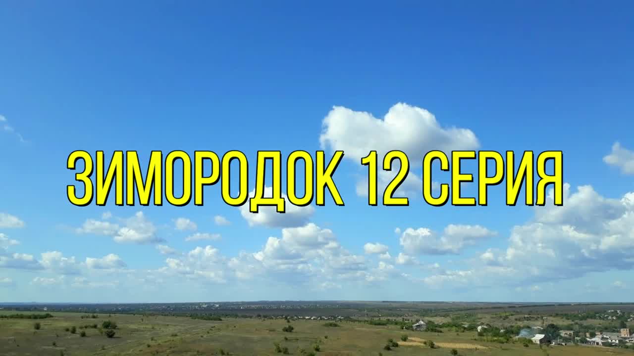 Зимородок 12 серия на русском языке. Новый турецкий сериал