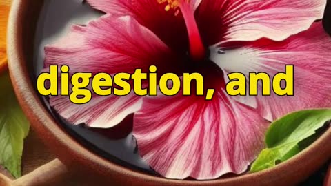 Everything You Need to Know About Hibiscus in few Seconds