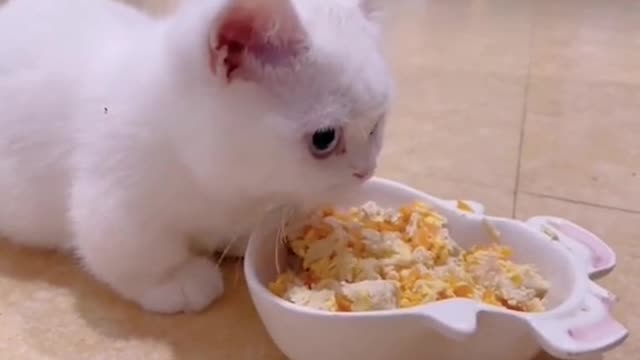 What it's eating. It seems to be delicious and enjoyable.