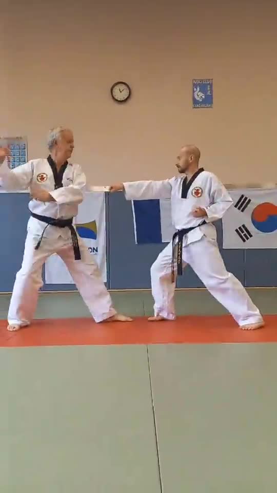 Taekwondo Self Defense