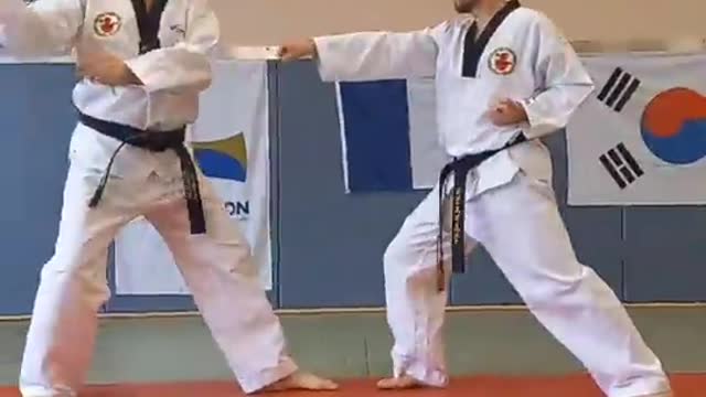 Taekwondo Self Defense