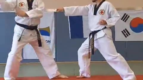 Taekwondo Self Defense