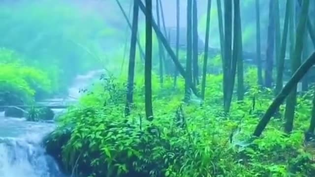 Wonder of Nature