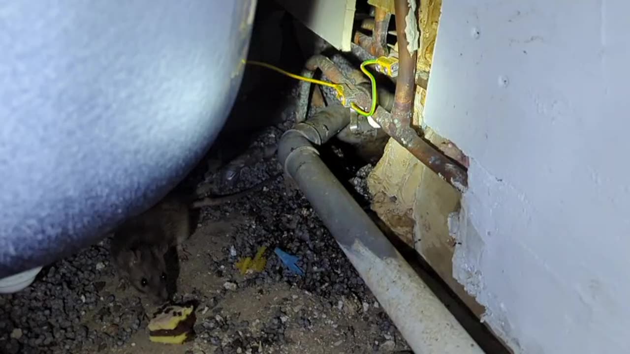 2023-04-28 (12) - Loot du napolitain, 2 - Twitch Decheterie (clip)