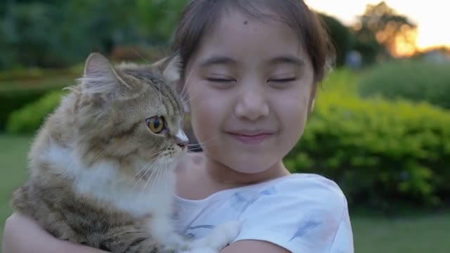 Slow motion of lovely Asian girl plays with her Persian cat in the park