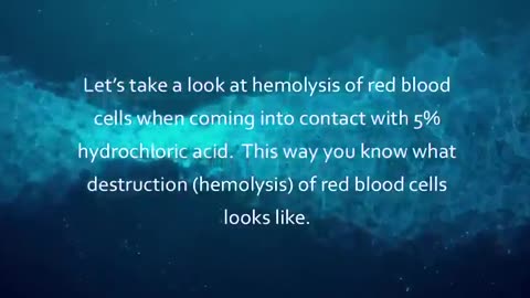 Chlorine Dioxide effects on human blood