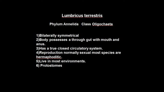 Earthworm Cross Section_Cut