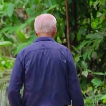 Joe Biden Wanders Off Into South American Rainforest
