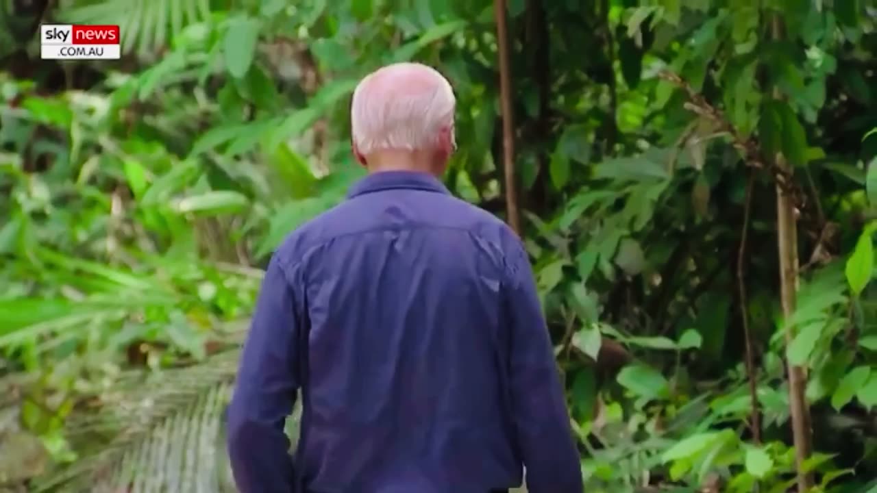 Joe Biden Wanders Off Into South American Rainforest