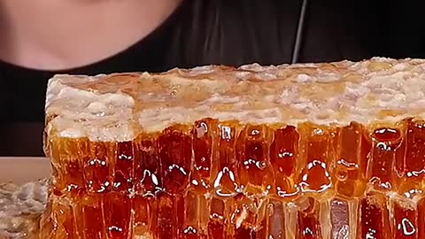 Raw HoneyComb, Honey Jelly #zoeyasmr #zoeymukbang #bigbites #mukbang #asmr #food #먹방 #틱톡푸드 #rawhoney