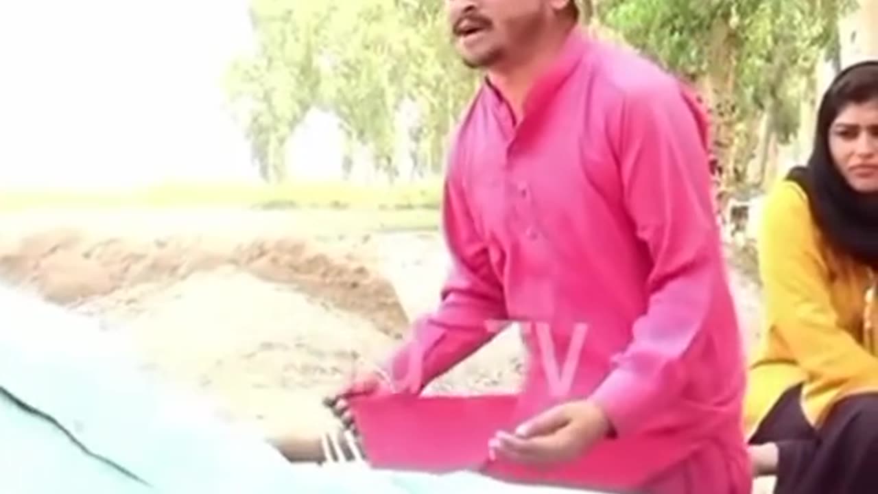 Tusse kon