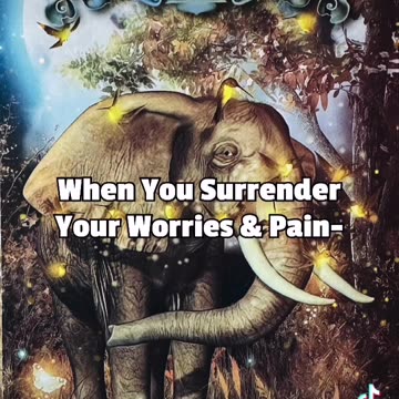 Universal Guidance ✨💫🐘