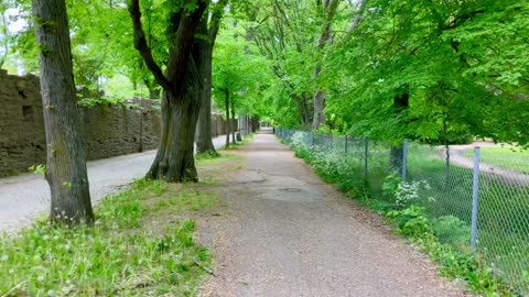 Mellan ringmuren och Botaniska trädgården i Visby.