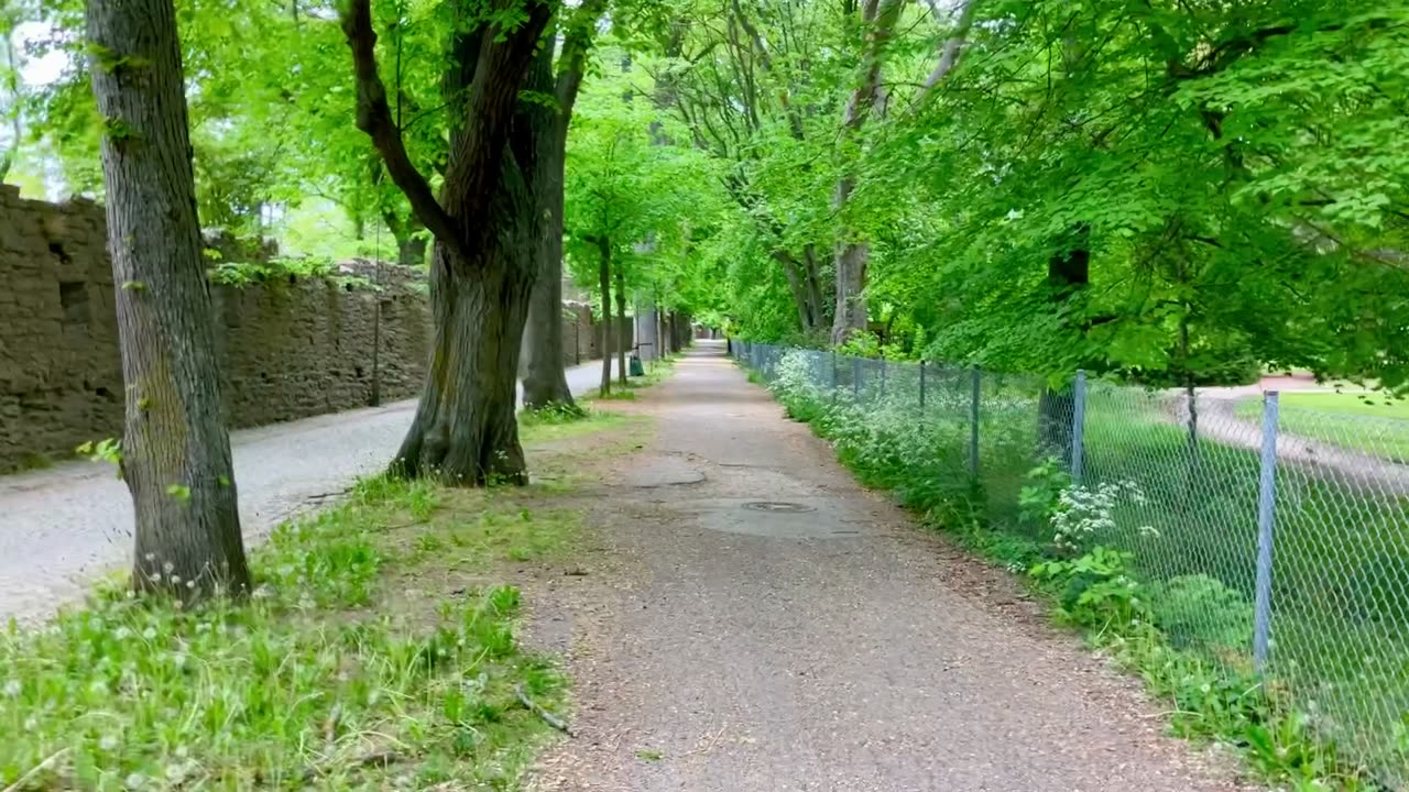 Mellan ringmuren och Botaniska trädgården i Visby.