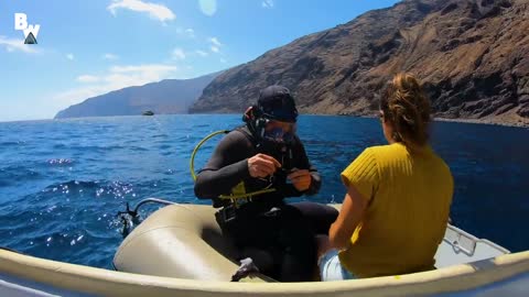 Great White Shark Submarine Explores the Kill Zone!