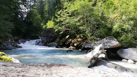 Forest River Sound and Music for Meditation and Relaxation