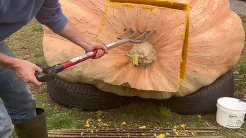 Crack open the big pumpkin
