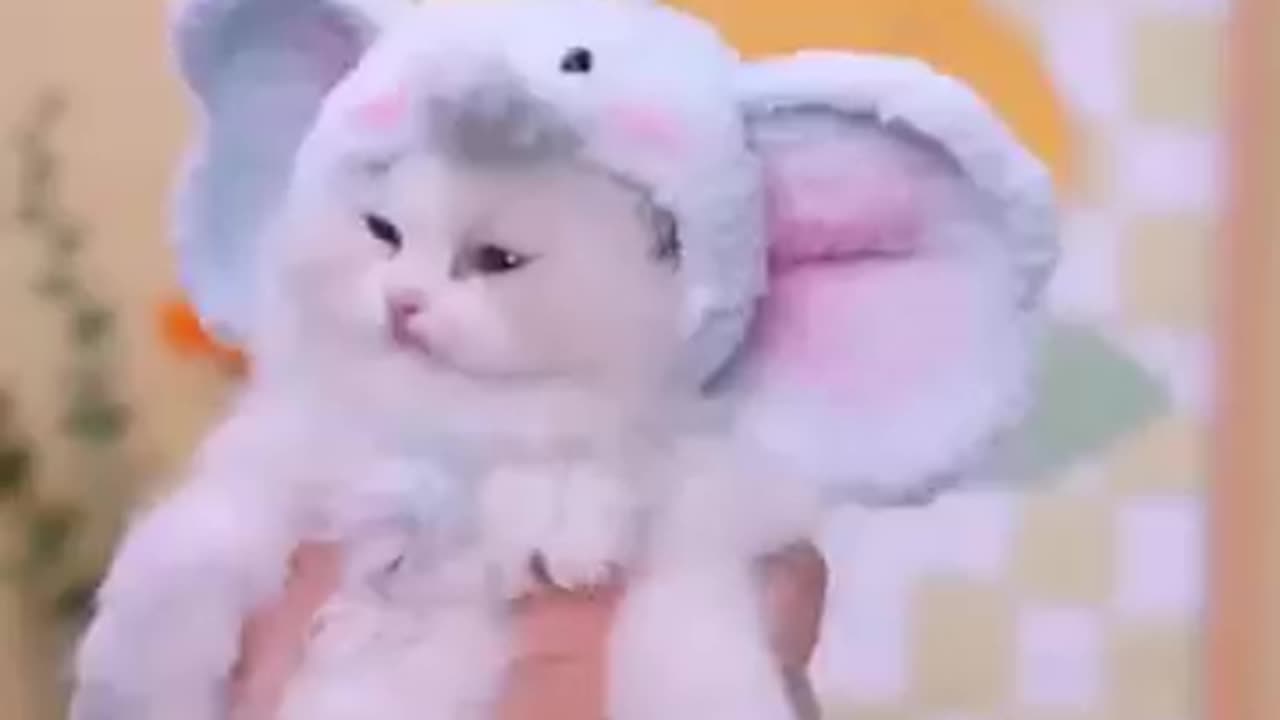 Cute 🥰