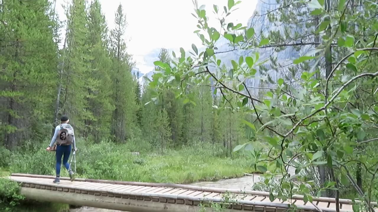 Stanley Glacier Trail in Kootenay National Park