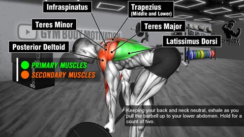 Back workout