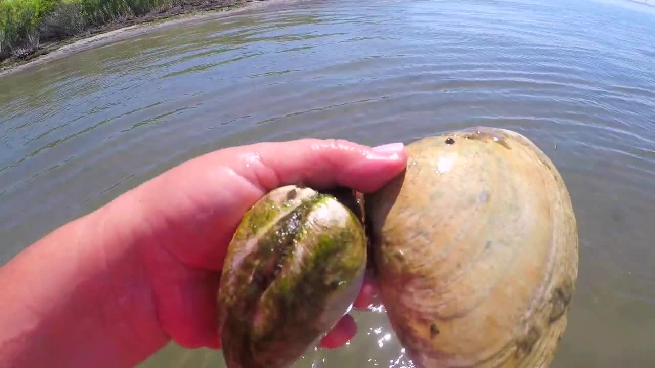 I Found Giant Crystal Holographic Diamond Pearl buried in sea.