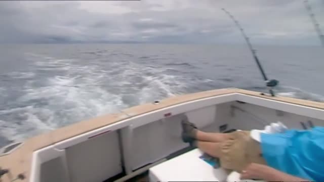 Chris Rea - Gone Fishing