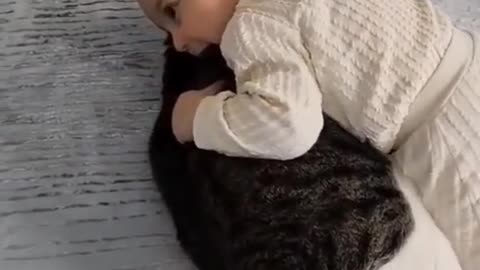 "Sweetest Moments: Baby's Adorable Playtime with a Cute Cat"