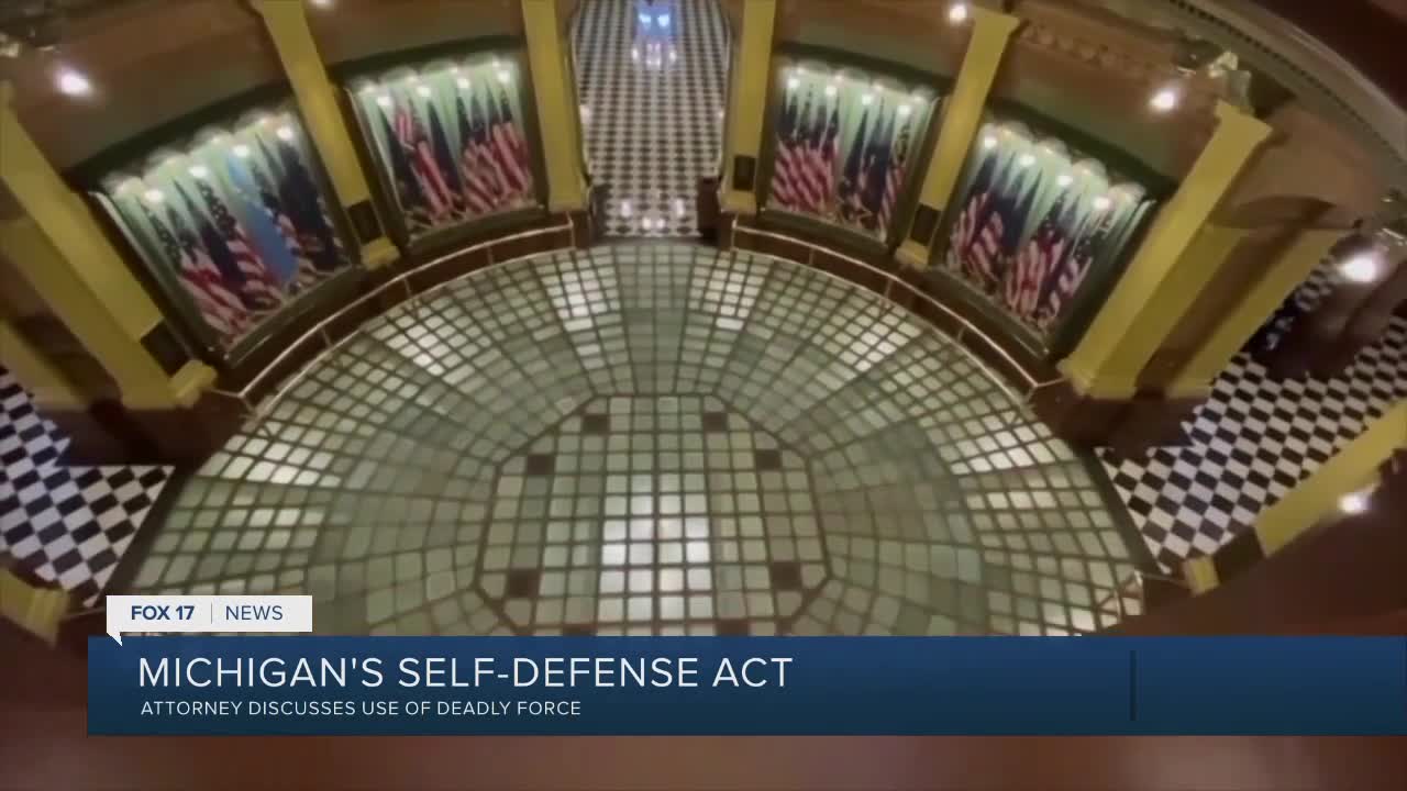 LOCAL MICHIGAN TV STATION COVERS SELF-DEFENSE LAWS