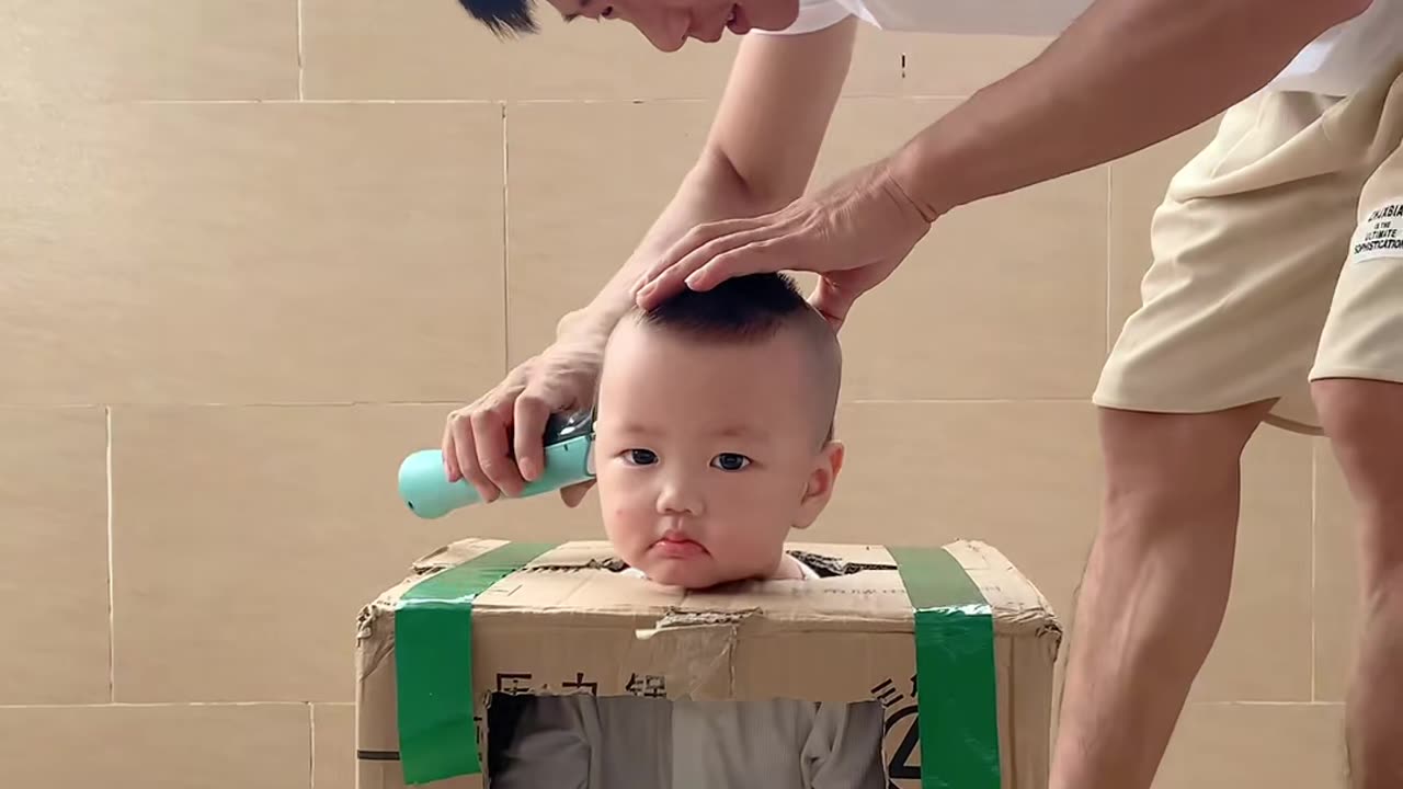 funny videos