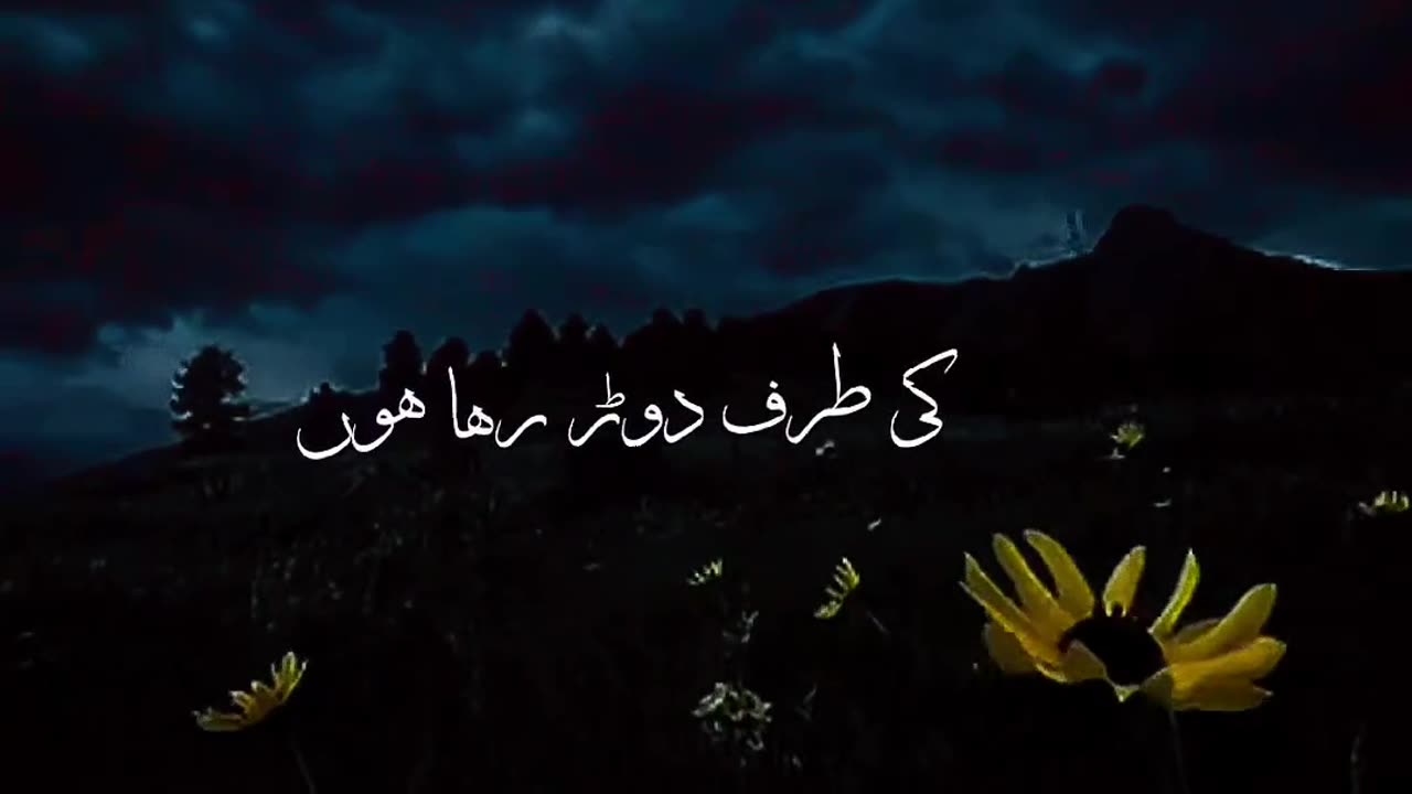 Jani ||whatsapp status|| lyrical video..