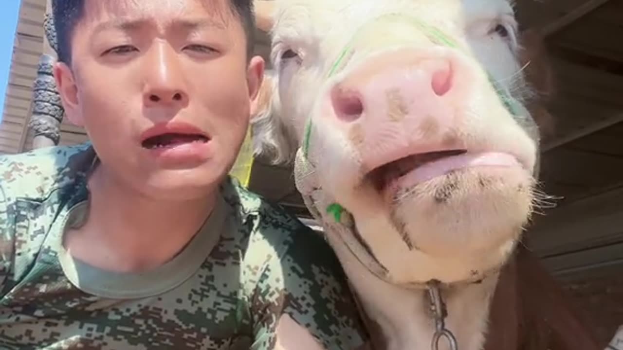 FUNNY VIDEO