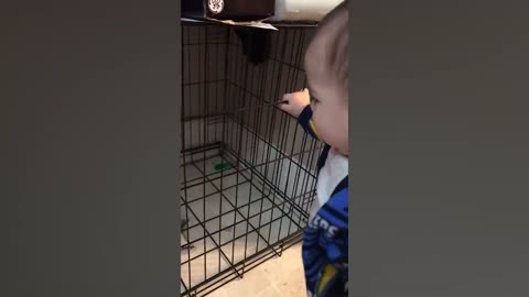 Funniest baby Videos-Try not to Laugh