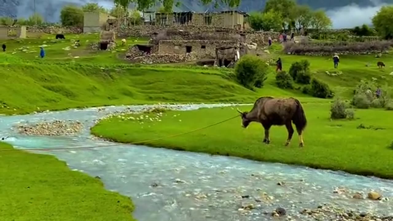 Pakistan ❤️❤️❤️