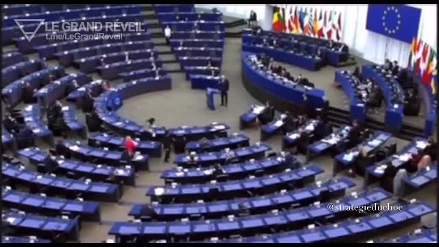 Quand le député européen croate Mislav Kolakušić traite Micron d'assassin en plein parlement