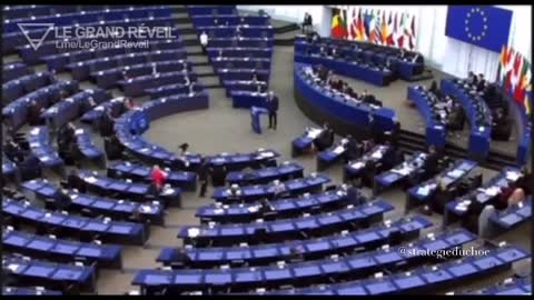 Quand le député européen croate Mislav Kolakušić traite Micron d'assassin en plein parlement