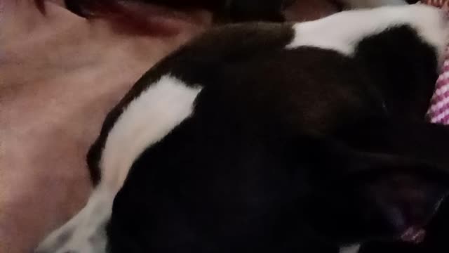 Hecatae my baby my love for life