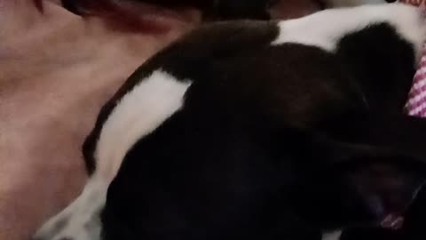 Hecatae my baby my love for life