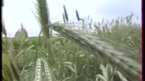 Процесс А что будет завтра (2 серия) 1988 год