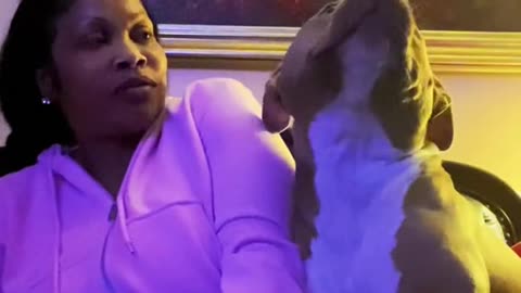 Jealous Dog 🥰