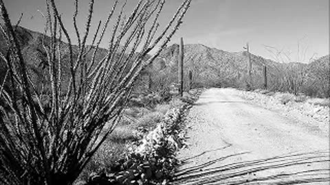 Living on a Thin Line