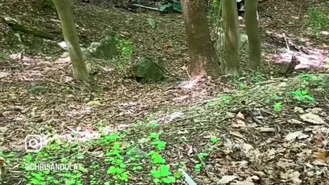 HOW DID THE CAR GET THERE?