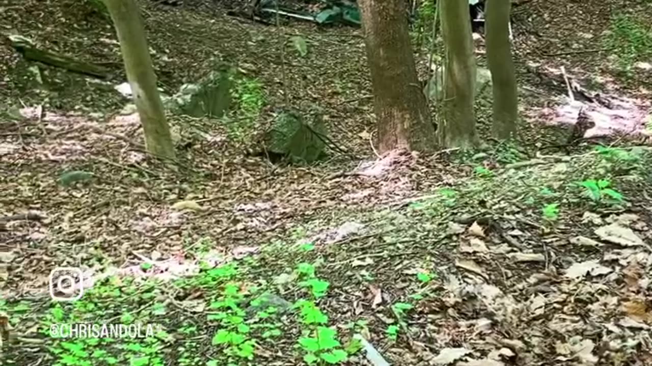 HOW DID THE CAR GET THERE?