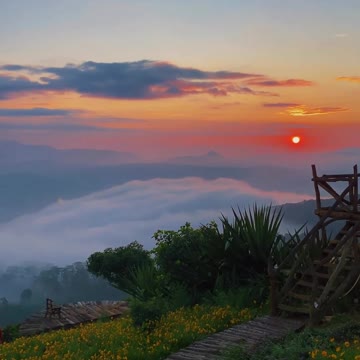 The sun setting on the horizon and casting a warm glow over a green field.