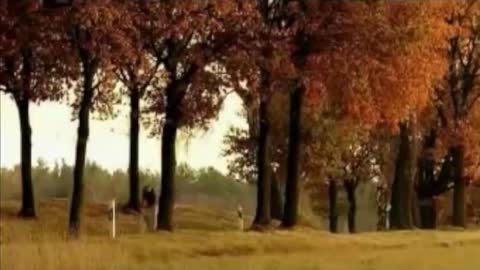 Do not exceed the speed limit