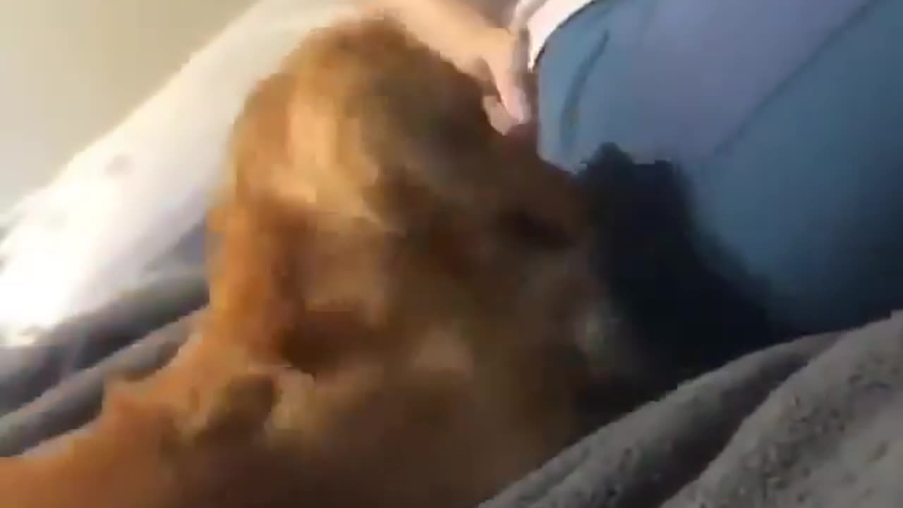 Best friends forever! This pup and little girl share a special bond of love and fun