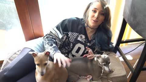 My Dogs Meet A Cat